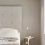 Breitorget 스타방에르